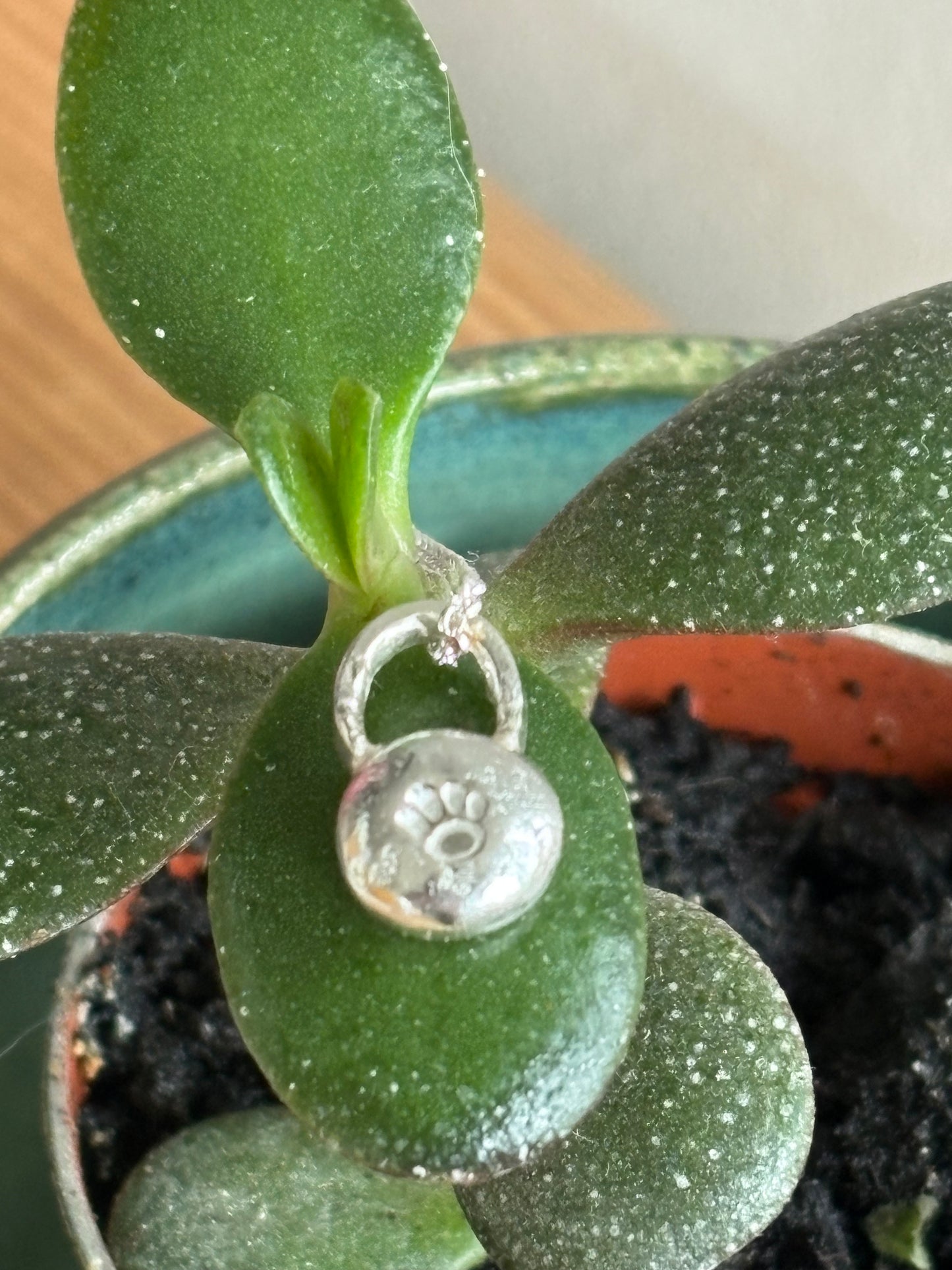 Paw Print Blob Necklace