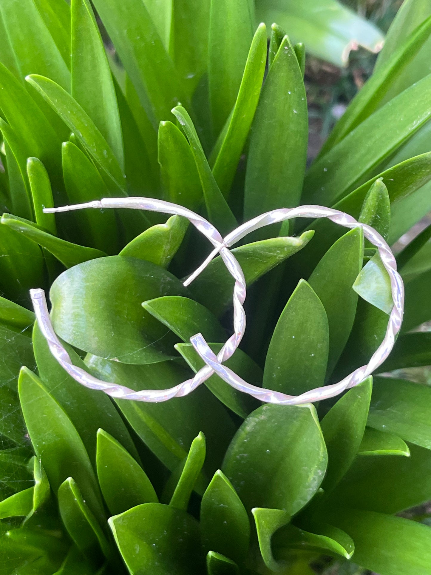 Twisted Silver Hoop Studs