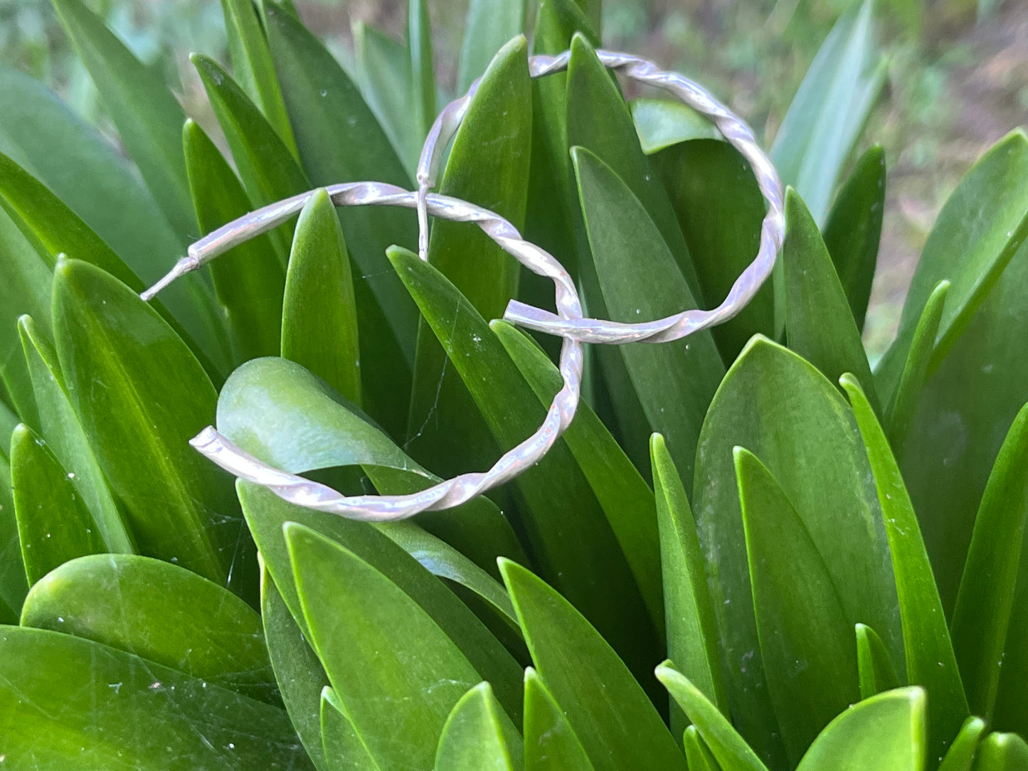 Twisted Silver Hoop Studs